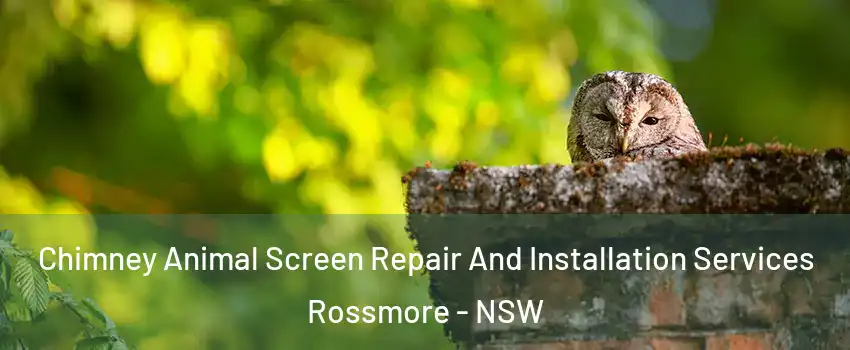 Chimney Animal Screen Repair And Installation Services Rossmore - NSW