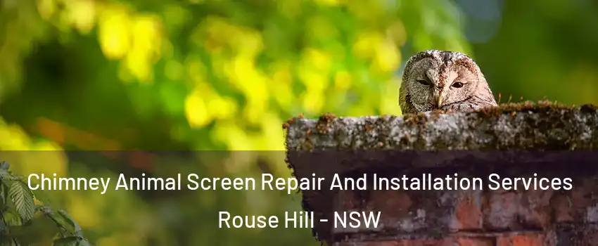 Chimney Animal Screen Repair And Installation Services Rouse Hill - NSW