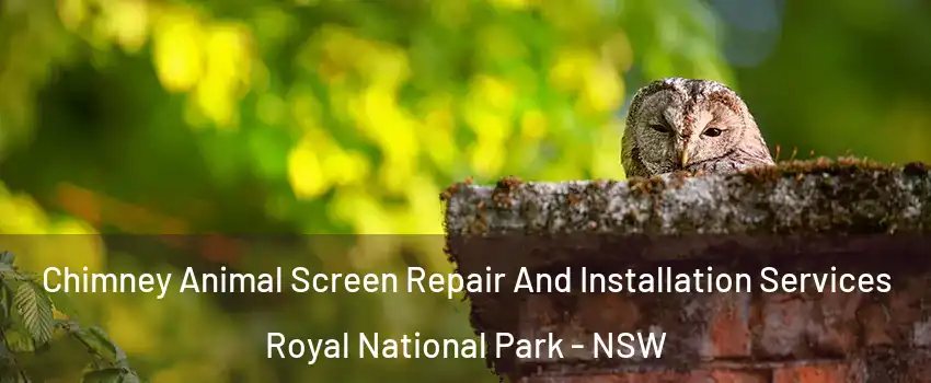 Chimney Animal Screen Repair And Installation Services Royal National Park - NSW