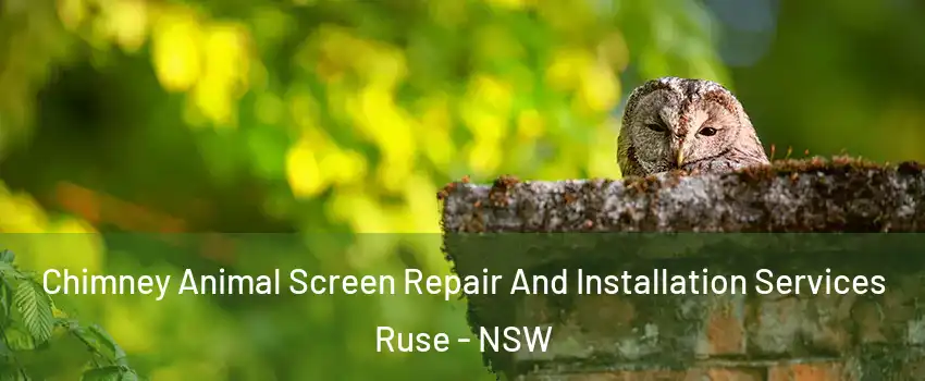 Chimney Animal Screen Repair And Installation Services Ruse - NSW