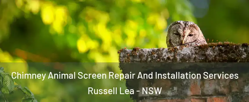 Chimney Animal Screen Repair And Installation Services Russell Lea - NSW