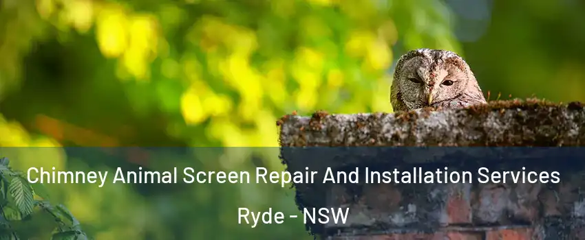 Chimney Animal Screen Repair And Installation Services Ryde - NSW