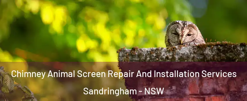 Chimney Animal Screen Repair And Installation Services Sandringham - NSW