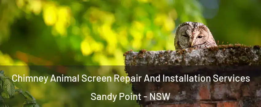 Chimney Animal Screen Repair And Installation Services Sandy Point - NSW