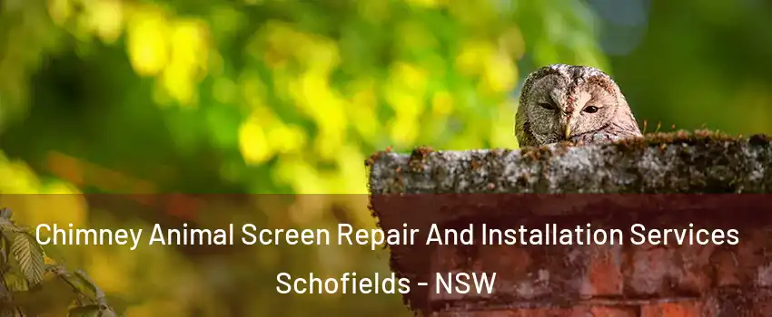 Chimney Animal Screen Repair And Installation Services Schofields - NSW