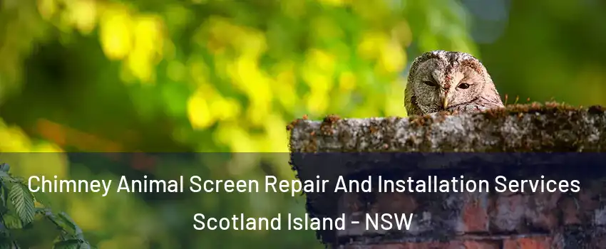 Chimney Animal Screen Repair And Installation Services Scotland Island - NSW