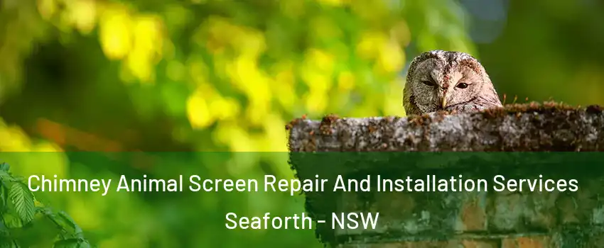 Chimney Animal Screen Repair And Installation Services Seaforth - NSW