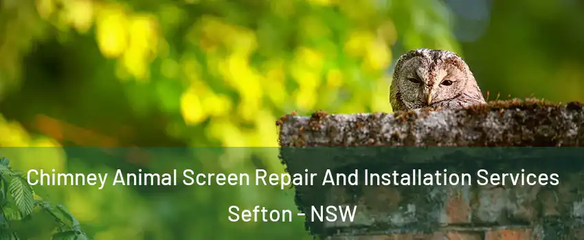 Chimney Animal Screen Repair And Installation Services Sefton - NSW