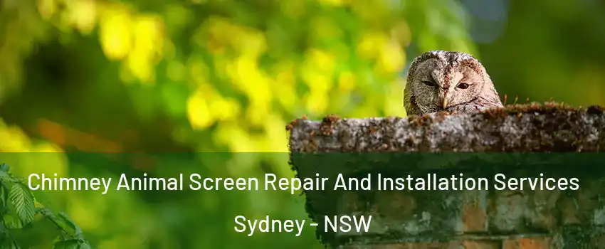 Chimney Animal Screen Repair And Installation Services Sydney - NSW