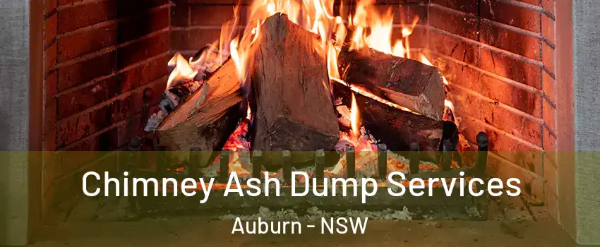  Chimney Ash Dump Services Auburn - NSW