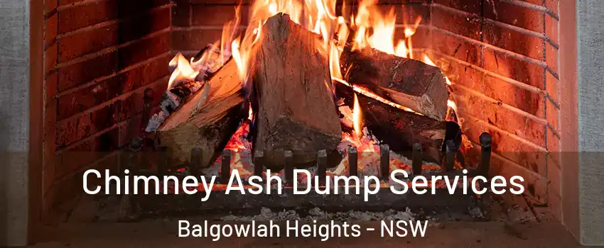 Chimney Ash Dump Services Balgowlah Heights - NSW