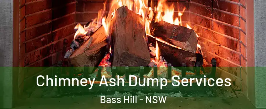 Chimney Ash Dump Services Bass Hill - NSW