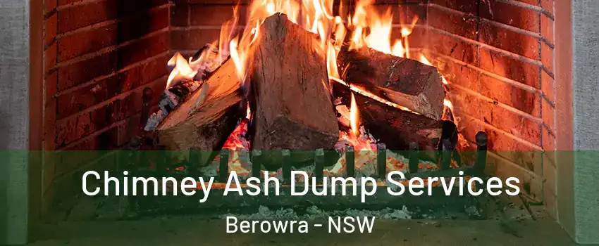 Chimney Ash Dump Services Berowra - NSW