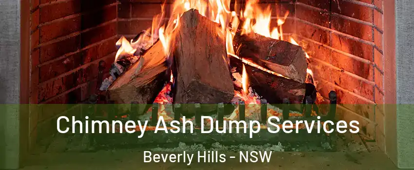 Chimney Ash Dump Services Beverly Hills - NSW