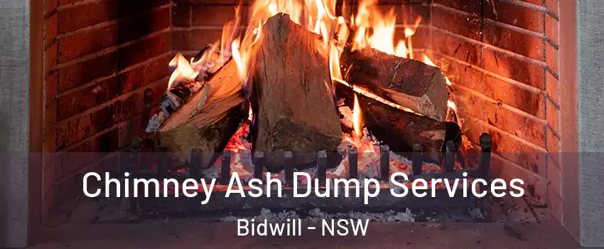  Chimney Ash Dump Services Bidwill - NSW