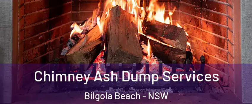 Chimney Ash Dump Services Bilgola Beach - NSW