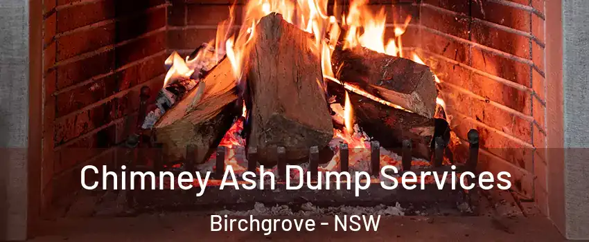 Chimney Ash Dump Services Birchgrove - NSW