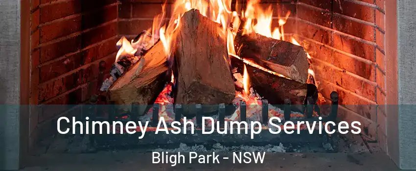 Chimney Ash Dump Services Bligh Park - NSW