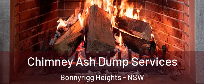 Chimney Ash Dump Services Bonnyrigg Heights - NSW
