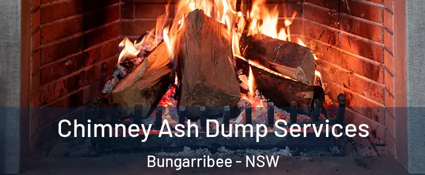 Chimney Ash Dump Services Bungarribee - NSW