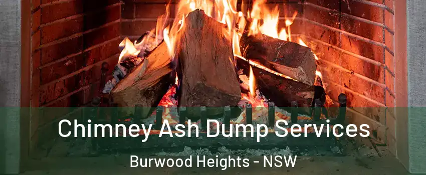 Chimney Ash Dump Services Burwood Heights - NSW