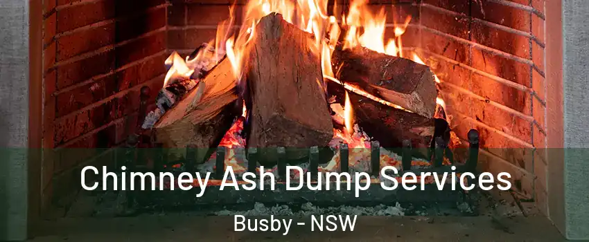 Chimney Ash Dump Services Busby - NSW