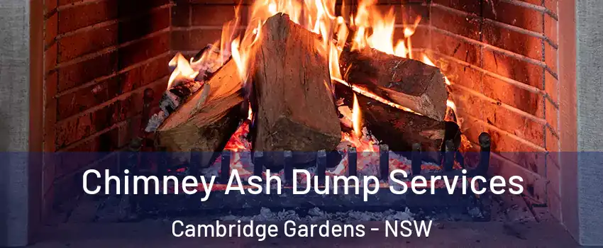 Chimney Ash Dump Services Cambridge Gardens - NSW