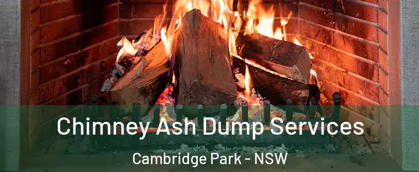 Chimney Ash Dump Services Cambridge Park - NSW