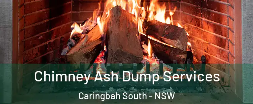 Chimney Ash Dump Services Caringbah South - NSW