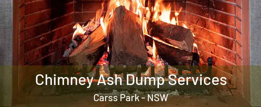Chimney Ash Dump Services Carss Park - NSW