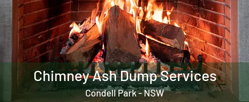  Chimney Ash Dump Services Condell Park - NSW