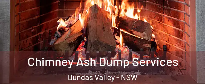 Chimney Ash Dump Services Dundas Valley - NSW