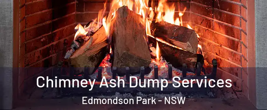 Chimney Ash Dump Services Edmondson Park - NSW