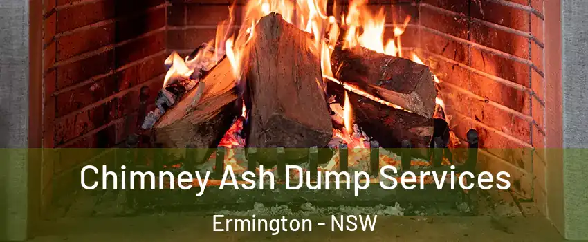Chimney Ash Dump Services Ermington - NSW