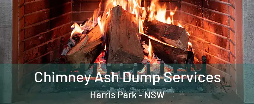 Chimney Ash Dump Services Harris Park - NSW