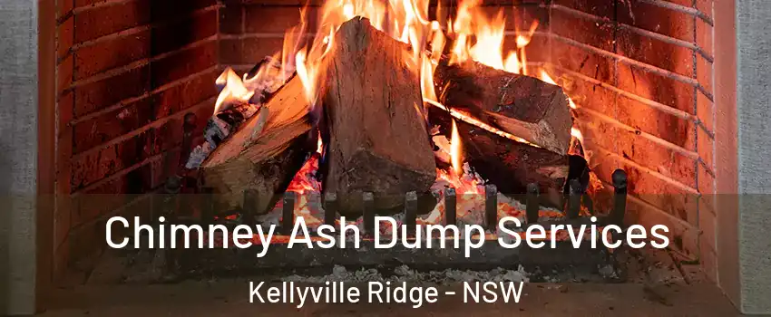 Chimney Ash Dump Services Kellyville Ridge - NSW