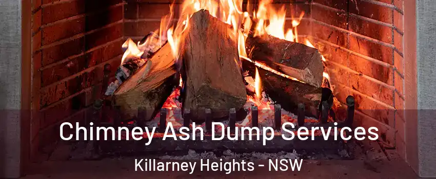 Chimney Ash Dump Services Killarney Heights - NSW