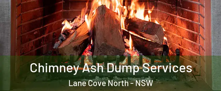 Chimney Ash Dump Services Lane Cove North - NSW