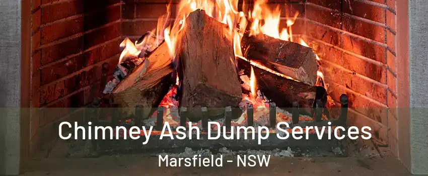 Chimney Ash Dump Services Marsfield - NSW