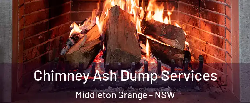 Chimney Ash Dump Services Middleton Grange - NSW