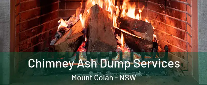 Chimney Ash Dump Services Mount Colah - NSW