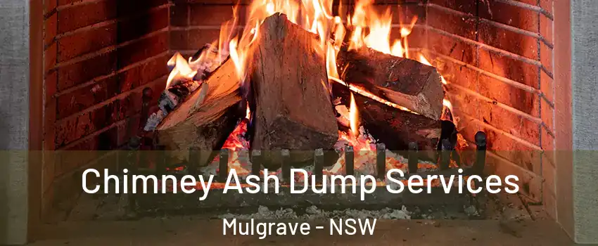 Chimney Ash Dump Services Mulgrave - NSW