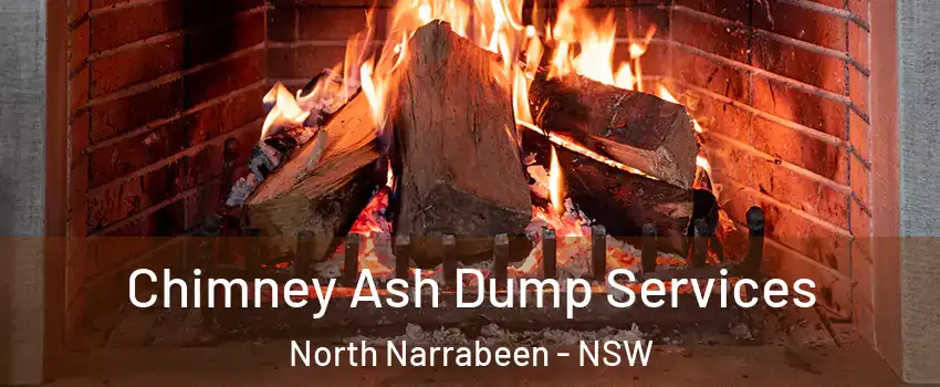 Chimney Ash Dump Services North Narrabeen - NSW