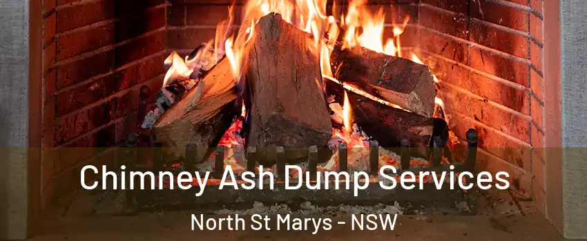 Chimney Ash Dump Services North St Marys - NSW