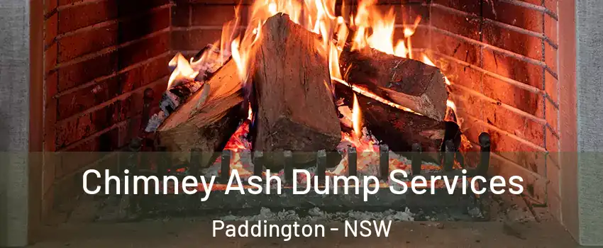 Chimney Ash Dump Services Paddington - NSW