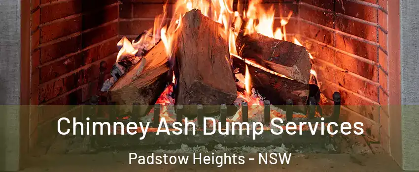 Chimney Ash Dump Services Padstow Heights - NSW