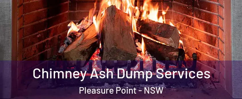 Chimney Ash Dump Services Pleasure Point - NSW