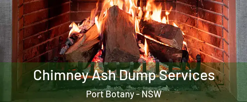 Chimney Ash Dump Services Port Botany - NSW