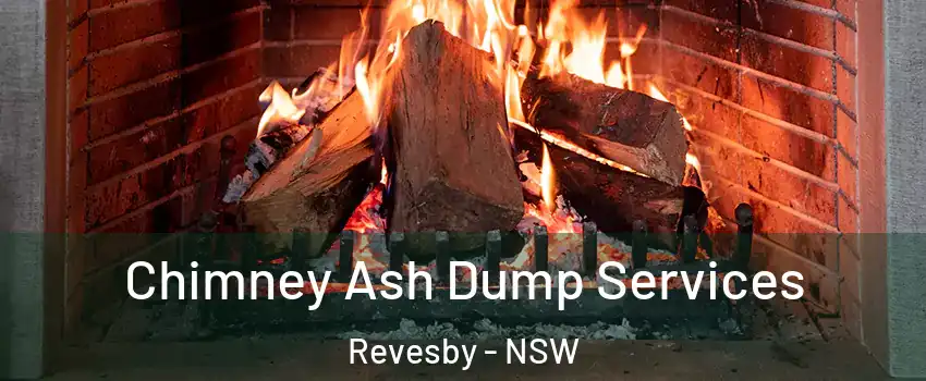 Chimney Ash Dump Services Revesby - NSW