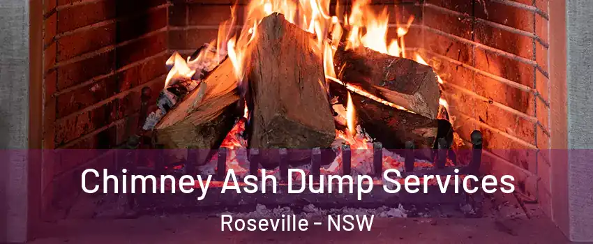 Chimney Ash Dump Services Roseville - NSW